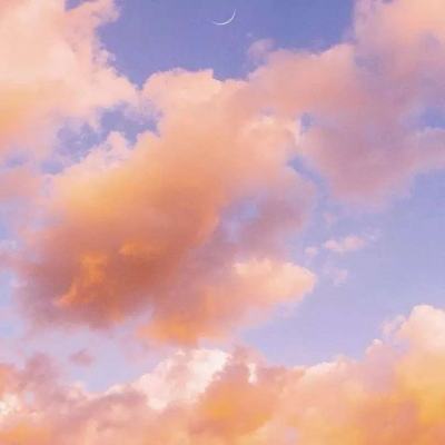 香港资料大全手机app下载截图